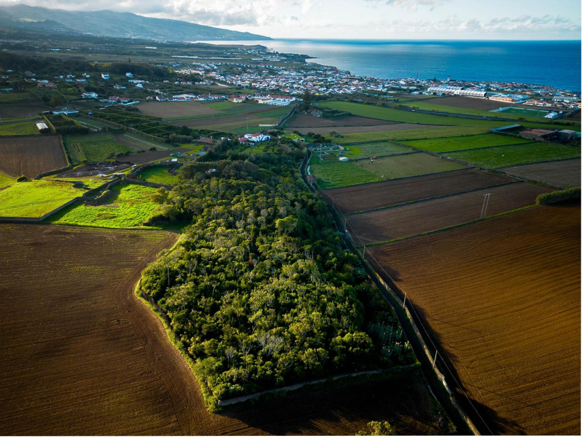 Quinta Morazes Casas De Campo Рібейра-Гранде Екстер'єр фото