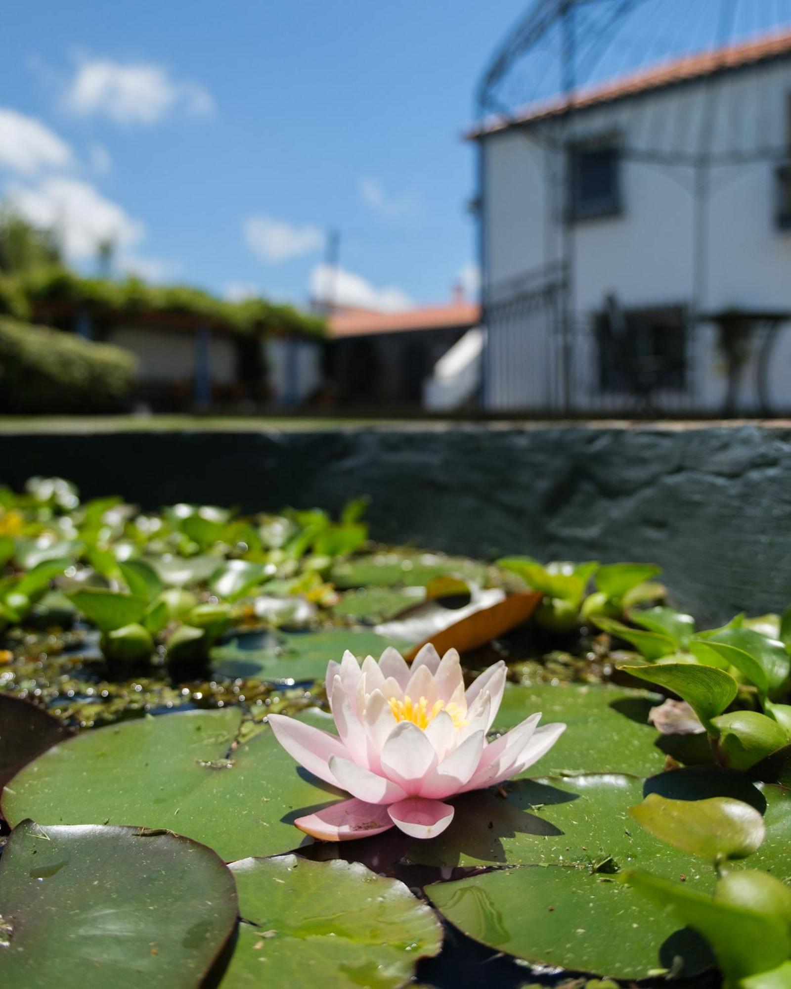 Quinta Morazes Casas De Campo Рібейра-Гранде Екстер'єр фото